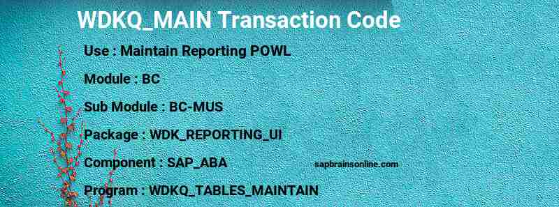 SAP WDKQ_MAIN transaction code