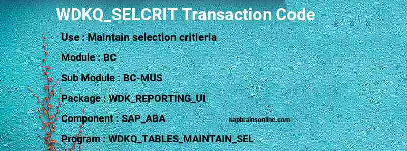 SAP WDKQ_SELCRIT transaction code