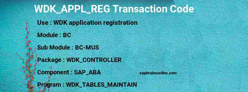 SAP WDK_APPL_REG transaction code