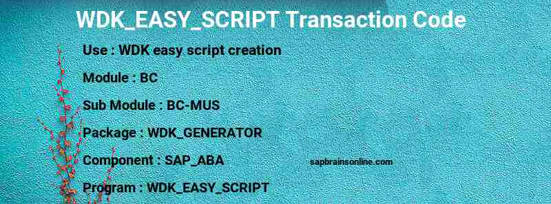 SAP WDK_EASY_SCRIPT transaction code