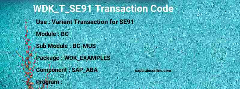 SAP WDK_T_SE91 transaction code