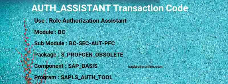SAP AUTH_ASSISTANT transaction code