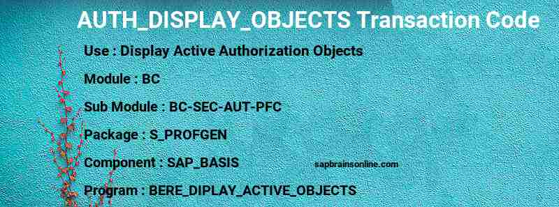 SAP AUTH_DISPLAY_OBJECTS transaction code