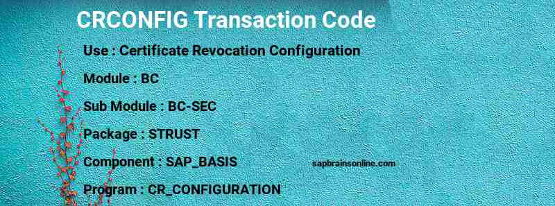 SAP CRCONFIG transaction code