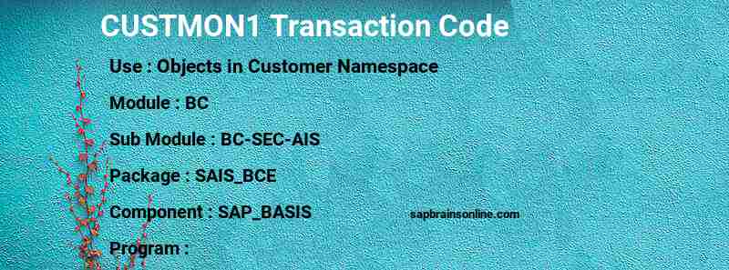 SAP CUSTMON1 transaction code