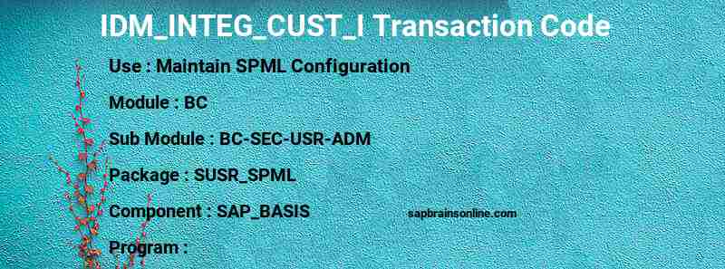 SAP IDM_INTEG_CUST_I transaction code