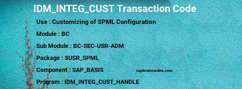 SAP IDM_INTEG_CUST transaction code
