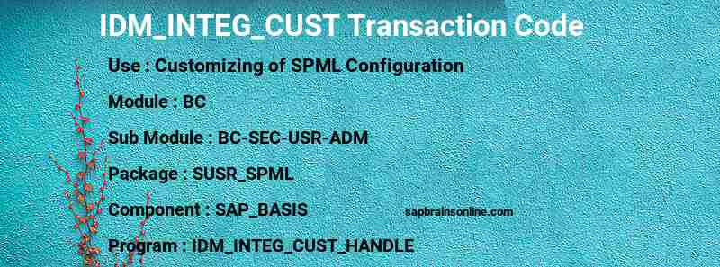 SAP IDM_INTEG_CUST transaction code