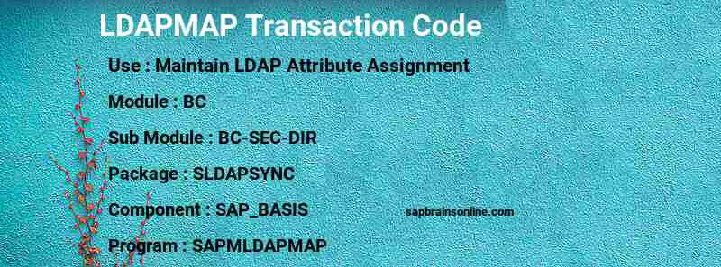 SAP LDAPMAP transaction code