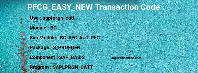 SAP PFCG_EASY_NEW transaction code