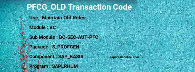 SAP PFCG_OLD transaction code