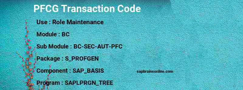 SAP PFCG transaction code