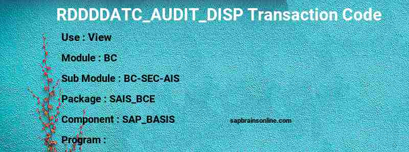 SAP RDDDDATC_AUDIT_DISP transaction code