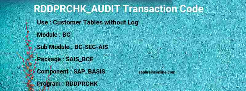 SAP RDDPRCHK_AUDIT transaction code