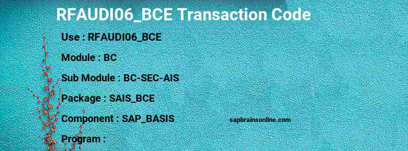 SAP RFAUDI06_BCE transaction code