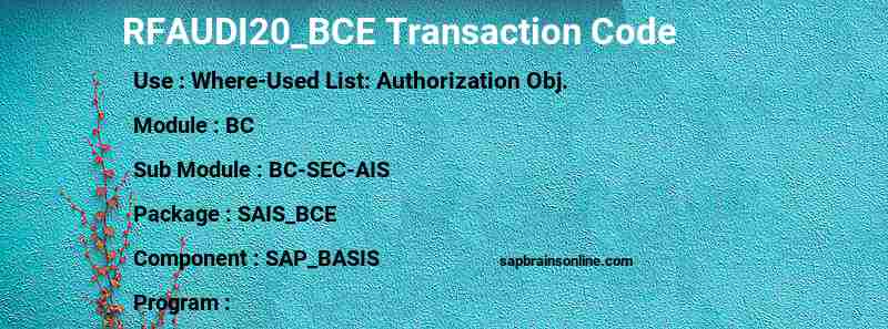 SAP RFAUDI20_BCE transaction code