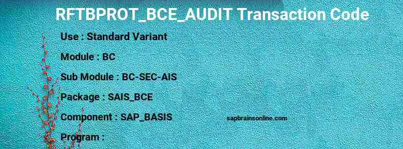 SAP RFTBPROT_BCE_AUDIT transaction code