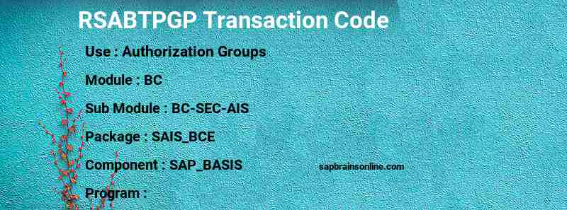 SAP RSABTPGP transaction code
