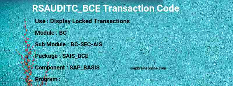 SAP RSAUDITC_BCE transaction code