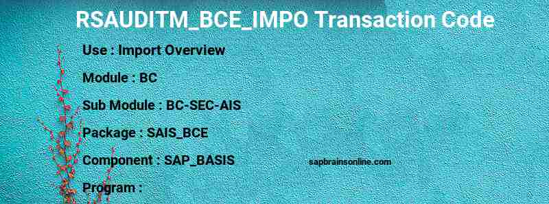 SAP RSAUDITM_BCE_IMPO transaction code