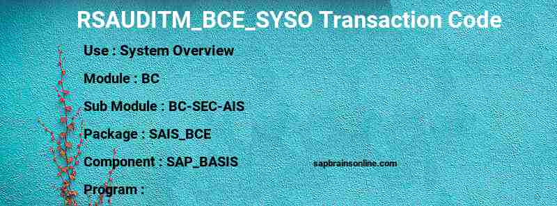 SAP RSAUDITM_BCE_SYSO transaction code