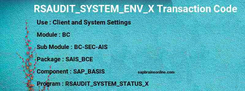 SAP RSAUDIT_SYSTEM_ENV_X transaction code