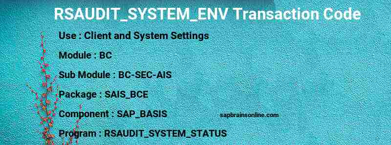 SAP RSAUDIT_SYSTEM_ENV transaction code