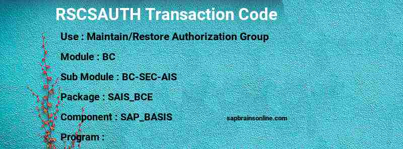 SAP RSCSAUTH transaction code
