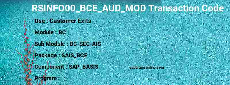 SAP RSINFO00_BCE_AUD_MOD transaction code