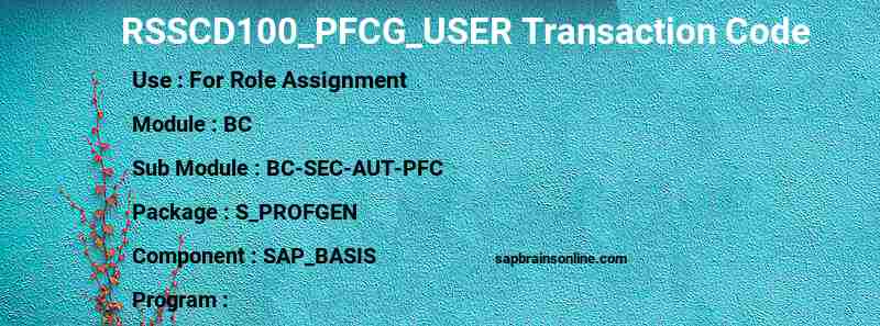 SAP RSSCD100_PFCG_USER transaction code