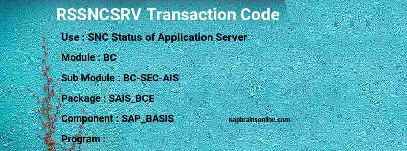 SAP RSSNCSRV transaction code
