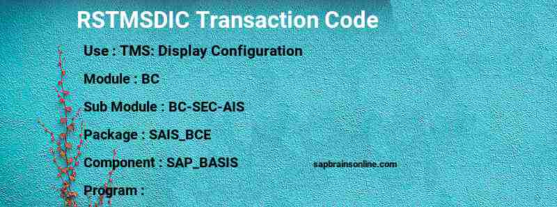 SAP RSTMSDIC transaction code