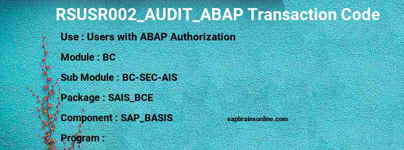 SAP RSUSR002_AUDIT_ABAP transaction code