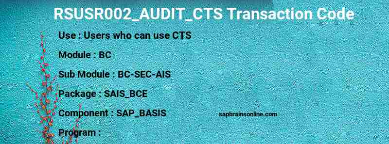 SAP RSUSR002_AUDIT_CTS transaction code