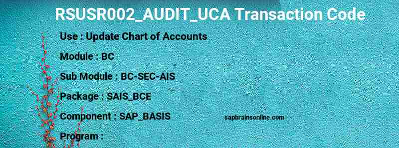 SAP RSUSR002_AUDIT_UCA transaction code