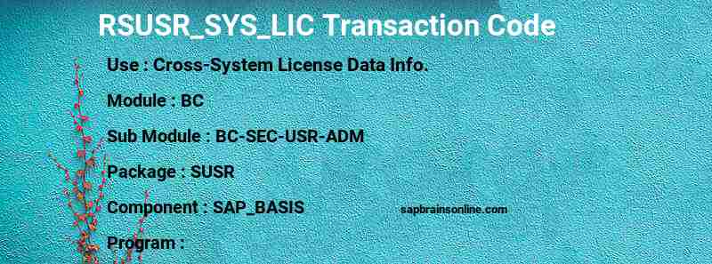 SAP RSUSR_SYS_LIC transaction code