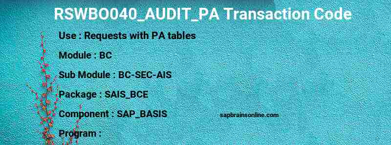 SAP RSWBO040_AUDIT_PA transaction code
