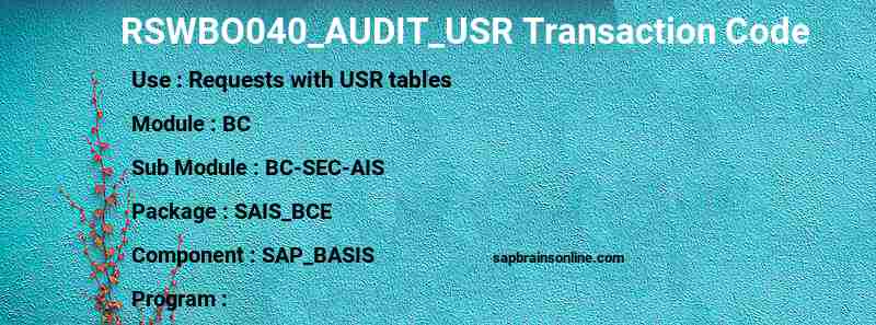 SAP RSWBO040_AUDIT_USR transaction code