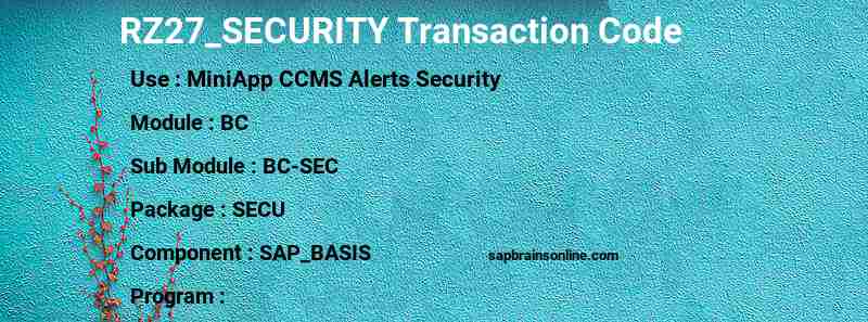 SAP RZ27_SECURITY transaction code