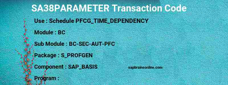 SAP SA38PARAMETER transaction code