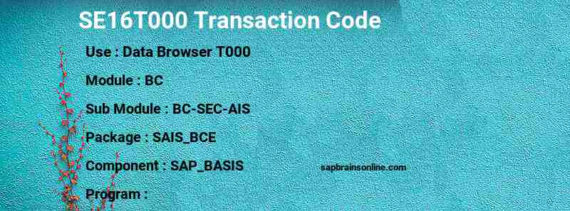 SAP SE16T000 transaction code