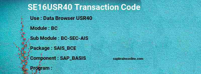 SAP SE16USR40 transaction code