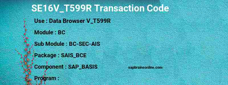 SAP SE16V_T599R transaction code