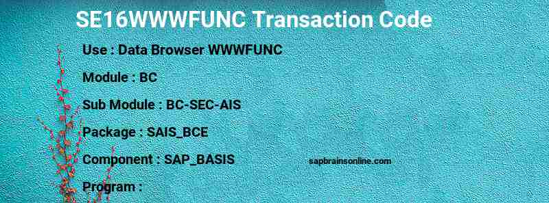 SAP SE16WWWFUNC transaction code