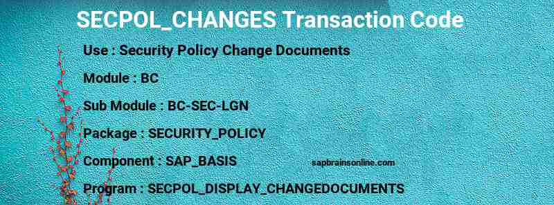SAP SECPOL_CHANGES transaction code