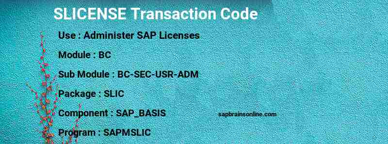 SAP SLICENSE transaction code