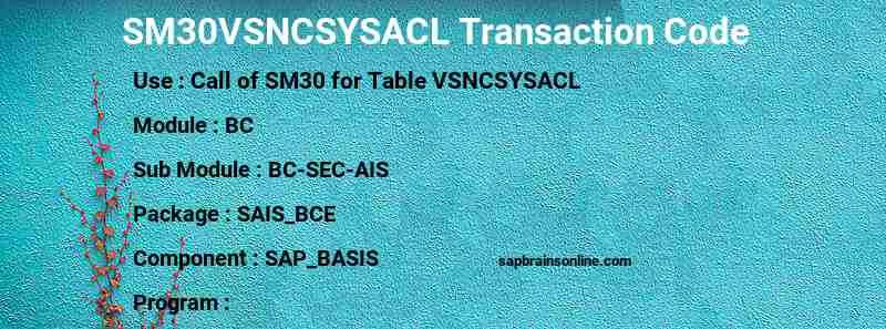 SAP SM30VSNCSYSACL transaction code