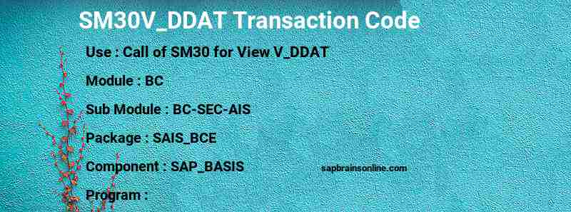 SAP SM30V_DDAT transaction code