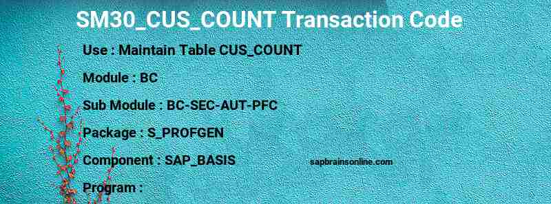 SAP SM30_CUS_COUNT transaction code