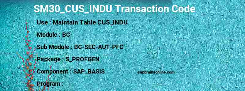 SAP SM30_CUS_INDU transaction code